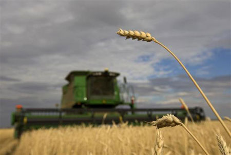 Máy thu hoạch lúa mì trên một cánh đồng ở Astana, Kazakhstan.